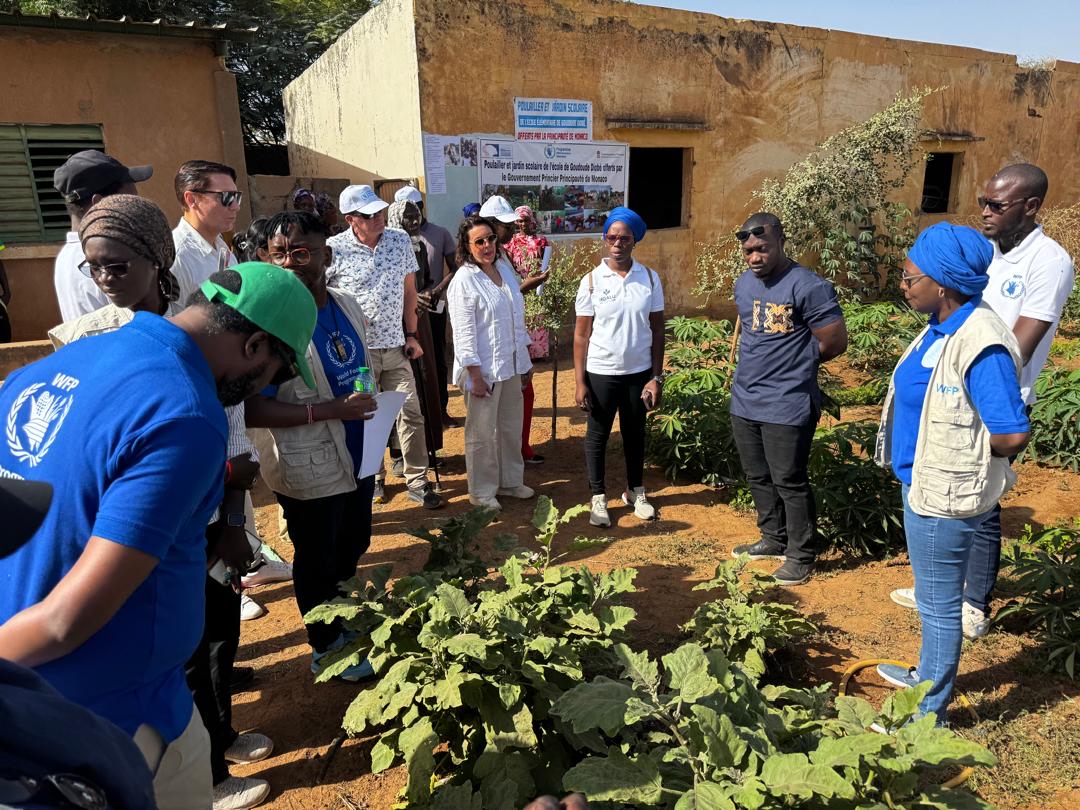 WFP_Senegal's tweet photo. 🇸🇳 Ce matin à l’école de Goudoude Diobé : visite et présentation des cantines scolaires basées sur la production locale: jardins communautaires, poulaillers et filière locale. Une illustration concrète des cantines modèles. #HomeGrownSchoolFeeding #ReitanRetail #NorskKylling https://t.co/o8takGG0rp