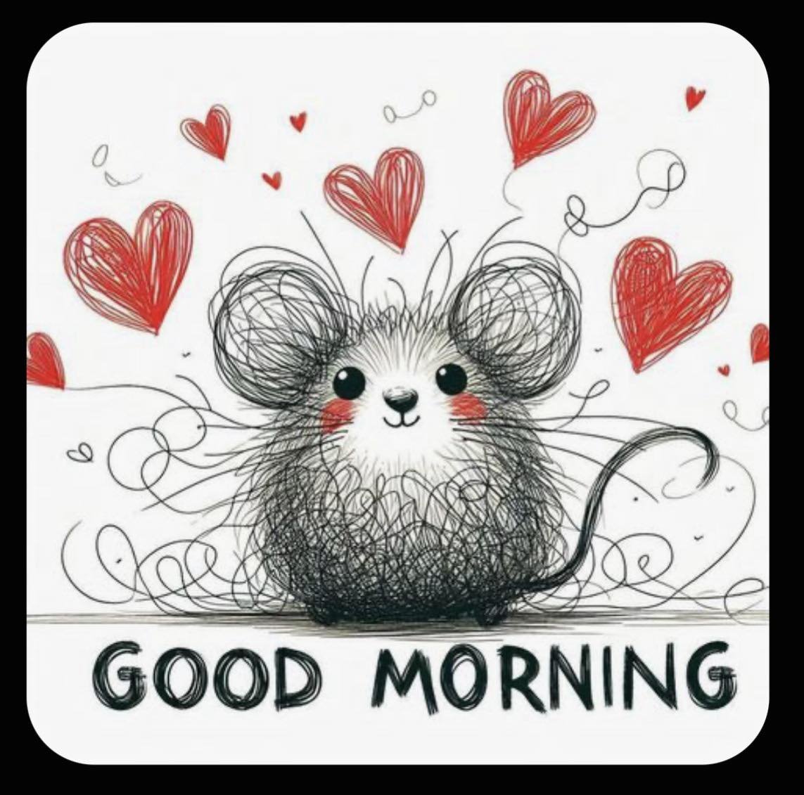 Have a great Wednesday everyone