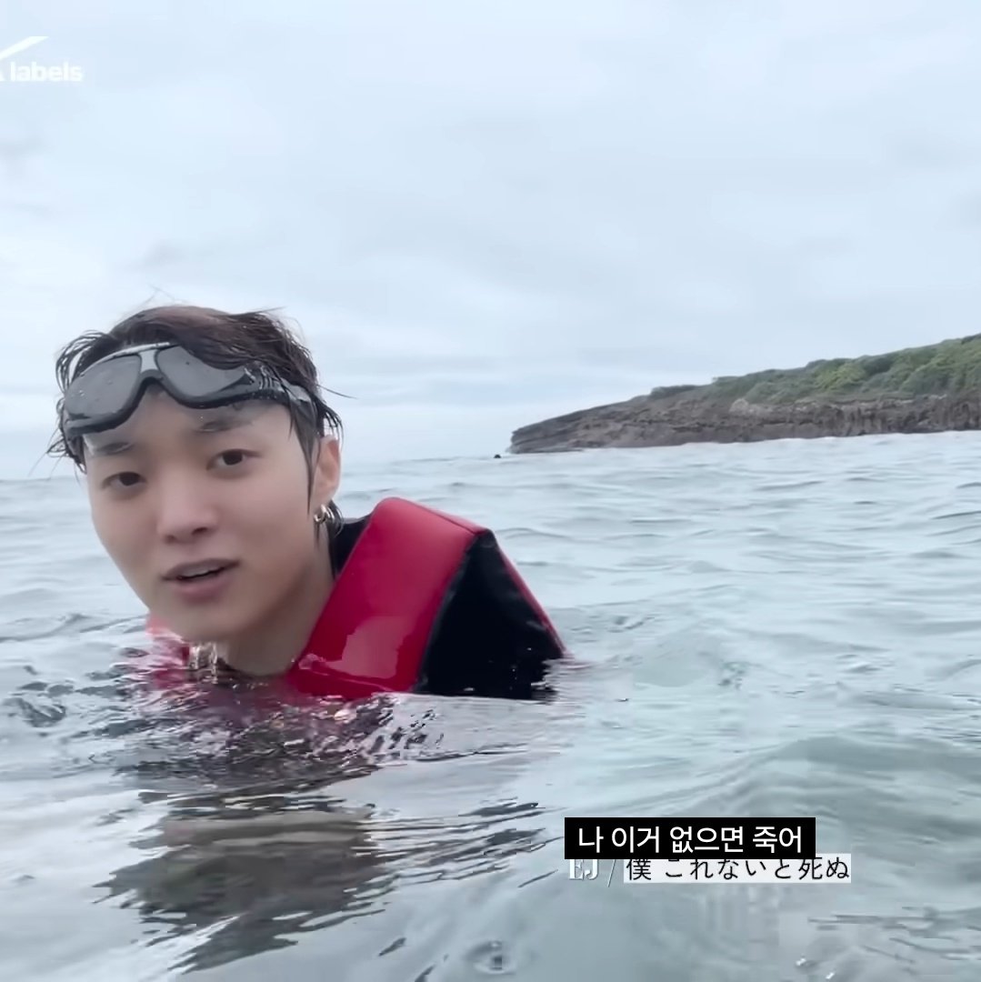 근데 이 분 어떤 의미로 눈을 뗄 수 없긴 해