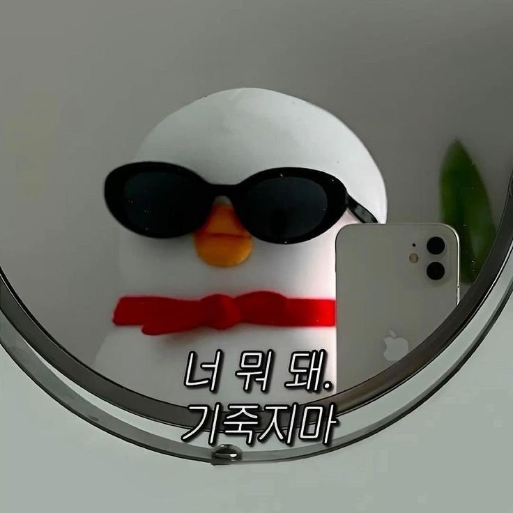 bellu_ss's tweet image. #블루레이디 #블루레이디_트친소
신입 1인분 하고 싶은 벨루입니다!!

🩵 제테크 공부 · 문학 · 독서 · 영화 · 카페투어 등등 공부와 일상 위주로 데굴데굴 굴러가요𖦹
🩵 소녀, 레이디 분들과 함께 성장하고 싶습니다! 잘 부탁드려요 (*ฅ´ᵕ`ฅ*)
🩵 선팔 맞팔 꼭 찾아갑니다!