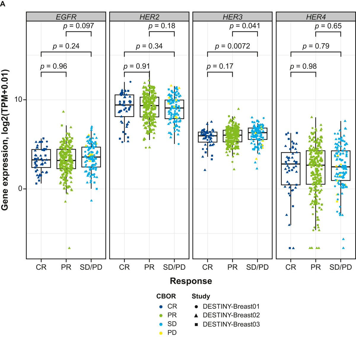 Raffaele Colombo tweet media