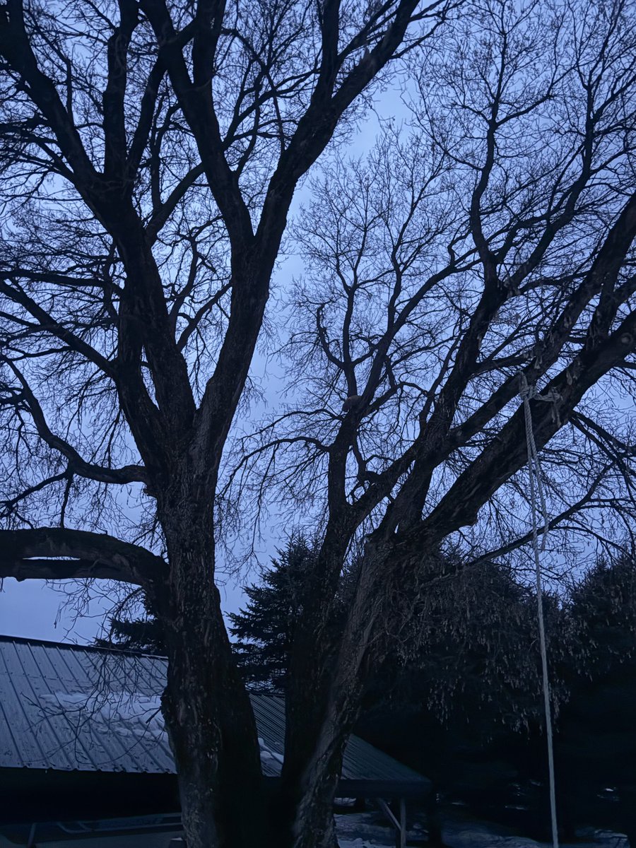 Trevor Ploetz tweet media