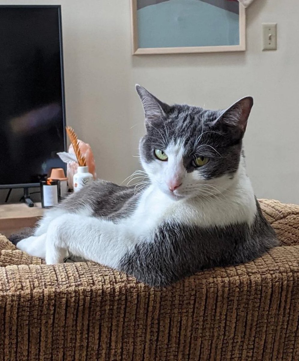 Paul Bronks tweet media