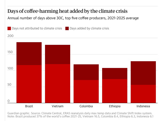 #MUNDO Expertos señalan que el cambio climático empezará a afectar la producción de Café en los países que aportan el 75% del grano que se consume en el mundo, incluyendo a Colombia. 
Según titula el diario británico The Guardian los países cafeteros tienen ahora temperaturas