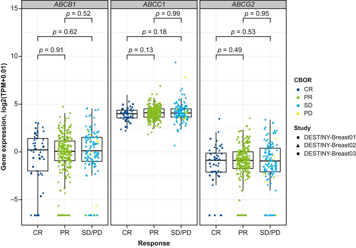 Raffaele Colombo tweet media