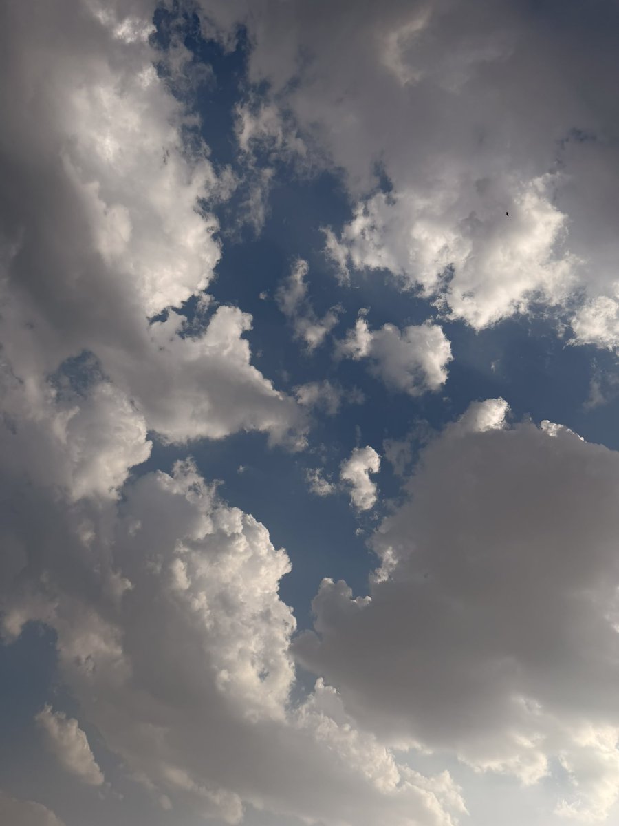 A sky full of pretty clouds.🤌🏻🌤️🤍

~ Just clicked 🫣