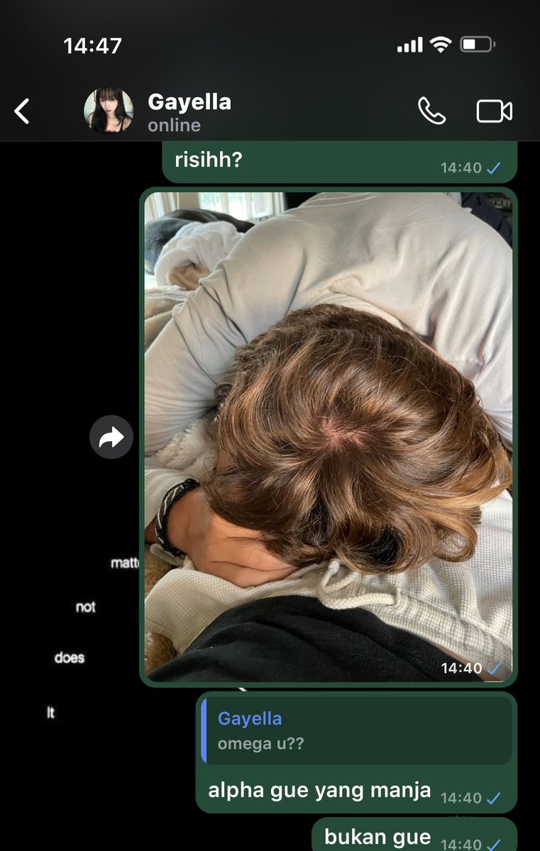 arcilatte tweet media