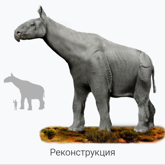 мило и грустно что вымершие виды помечены крестом

☦️раб божий индрикотерий☦️