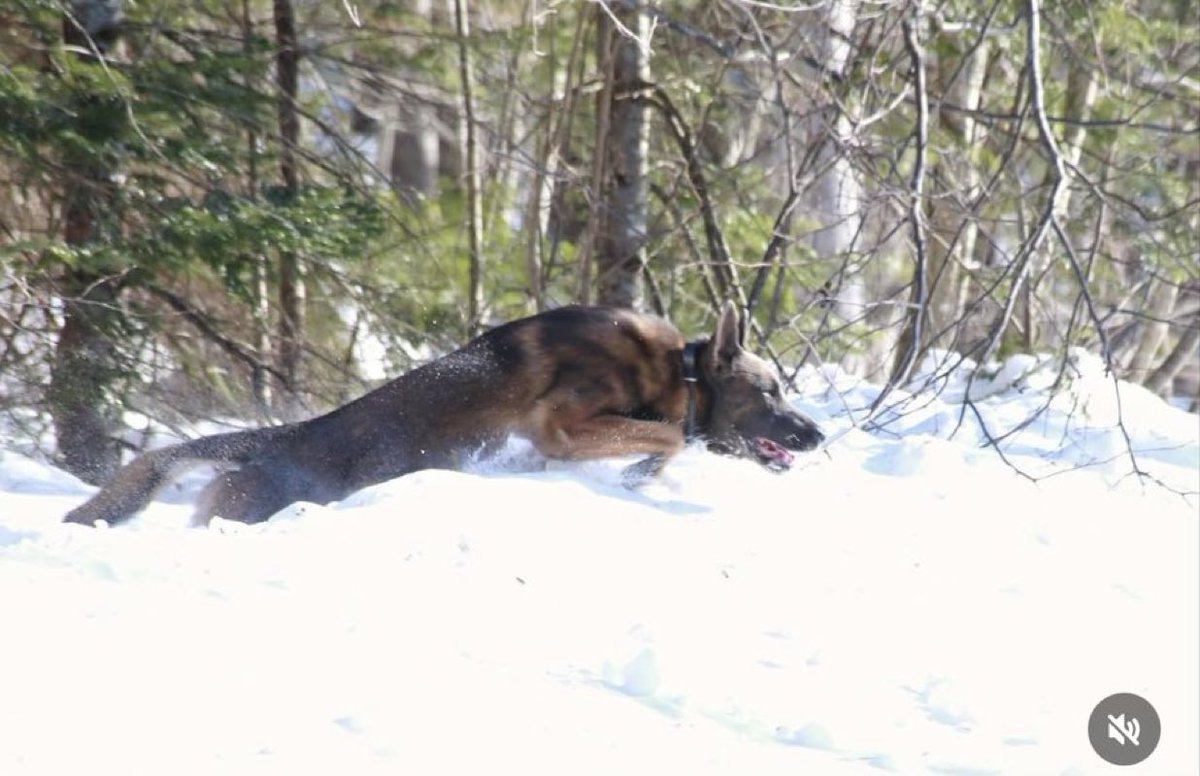 Freedom 4ta😆 tweet media