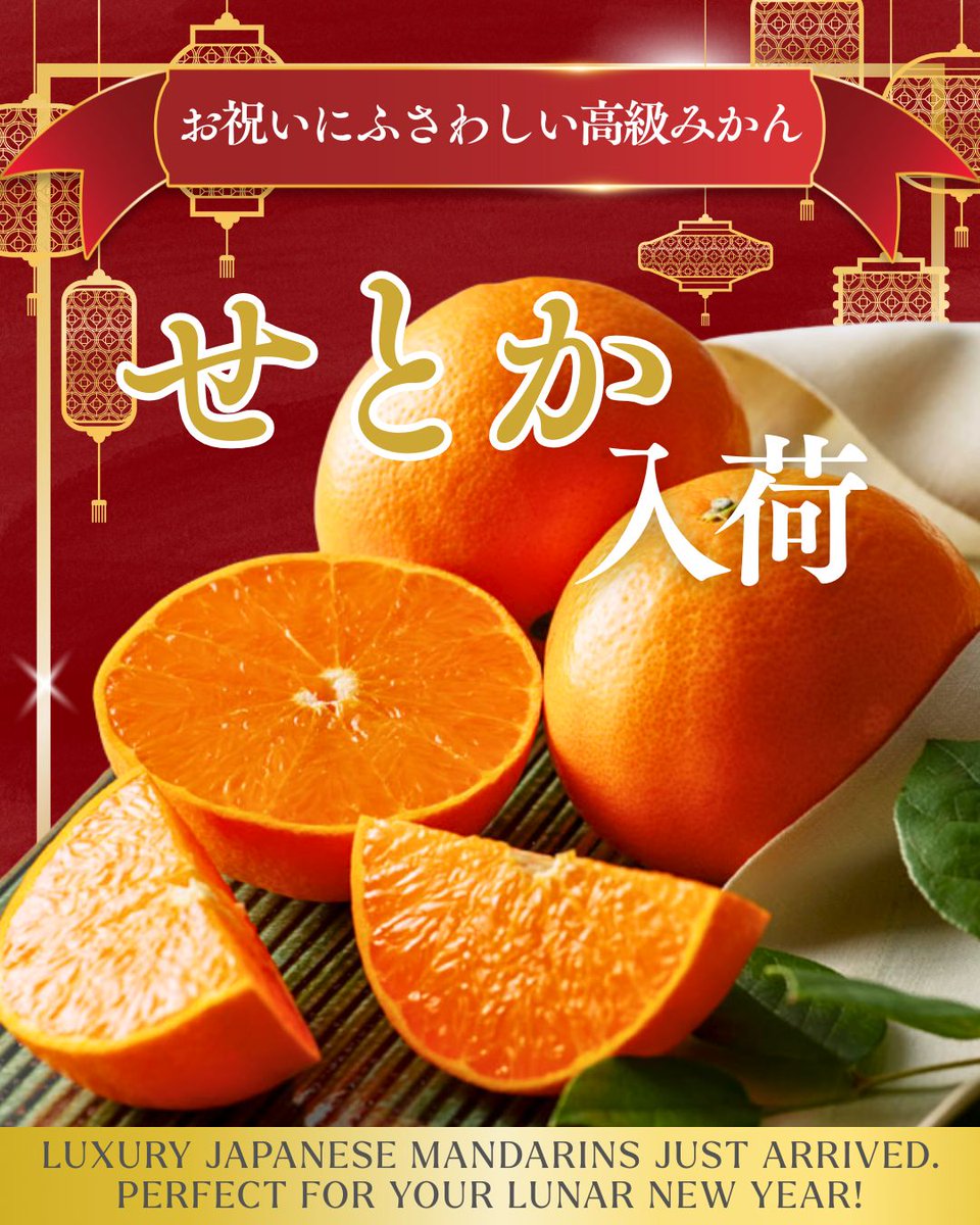 極上の甘さ「せとか」などフルーツ入荷🍊 ＊みかん・柑橘類🍊 ＊いちご