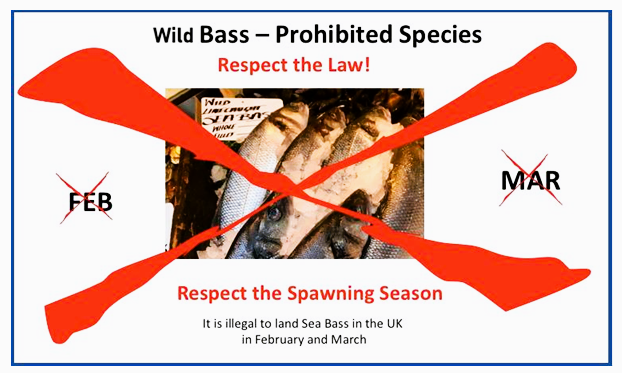 SaveourBass tweet media