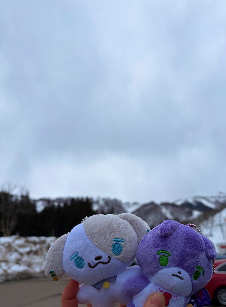 瀬條🦦 tweet media