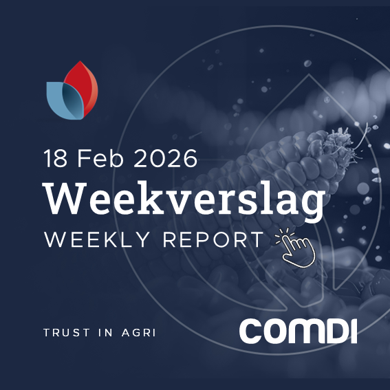 comdiagri's tweet photo. Die nuutste WASDE verslag is bekend gemaak.

Lees meer hier - https://t.co/psrckG811Z

#COMDIAgri #JSE #Trading #Investment #AgriculturalMarket #Boere #Farming #GrainTrading #SAFEX #Weekverslag #landbou https://t.co/rIp6hG3ipO