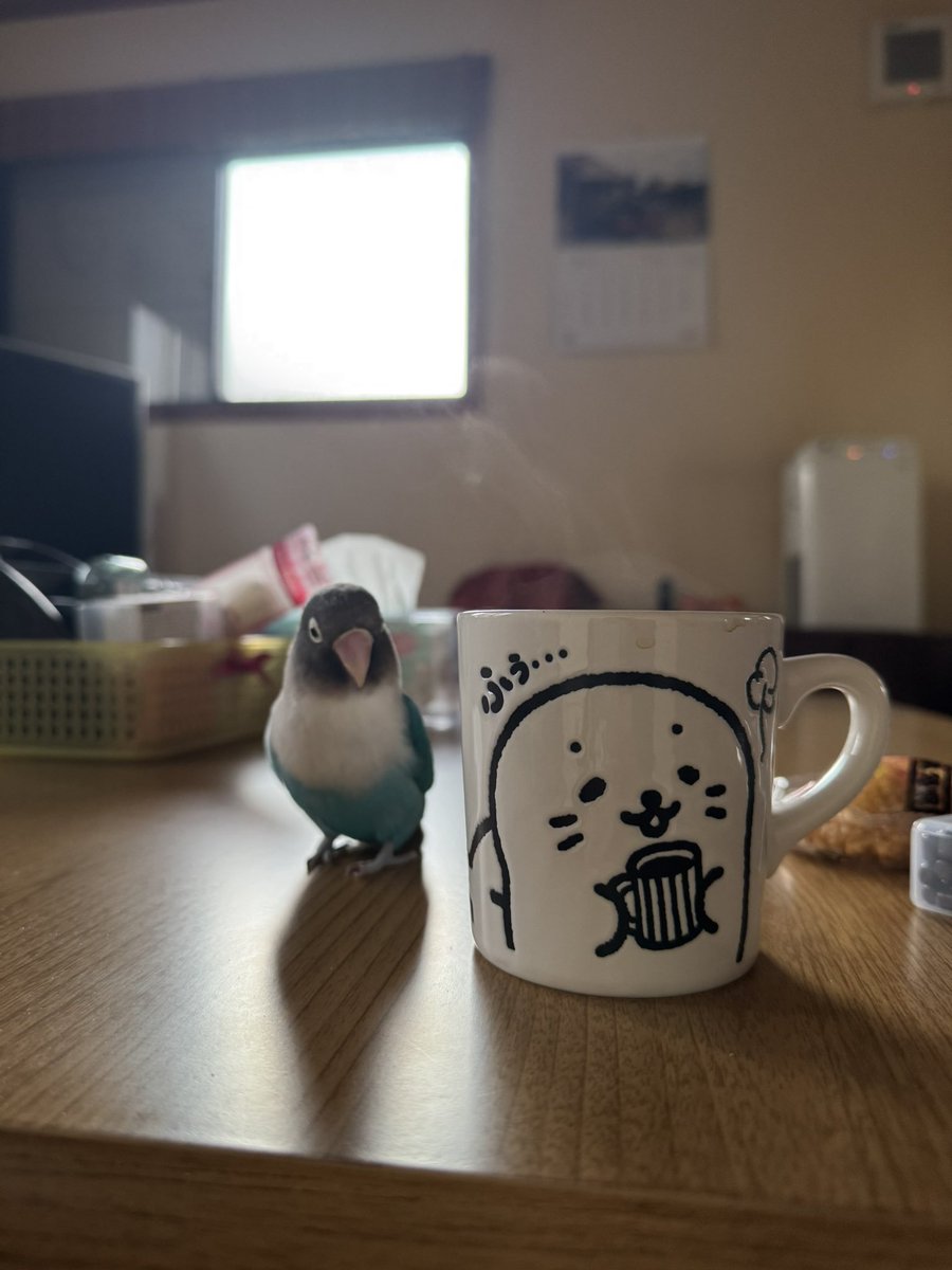 ハゲムシャ tweet media