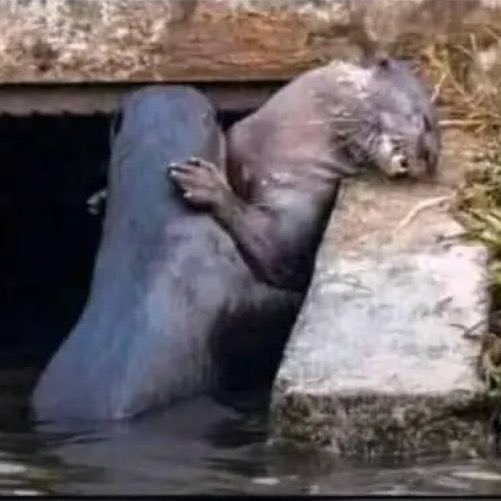 Your girlfriend with her bestie at campus 🙂‍↔️😂