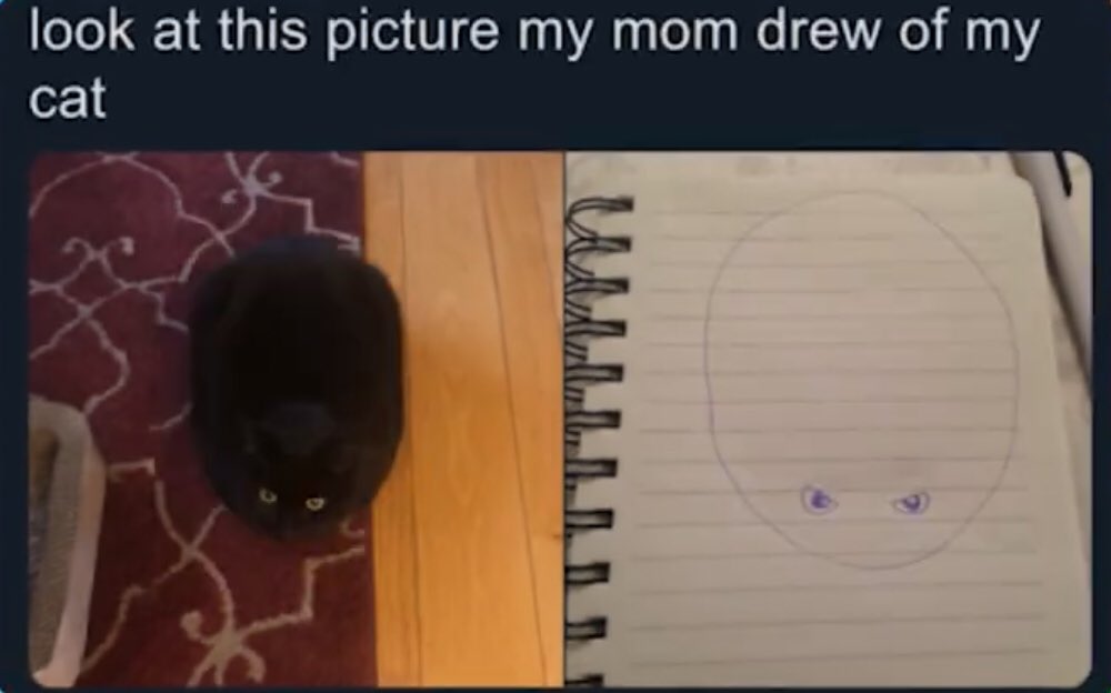 blurrygeometrickatydid tweet media