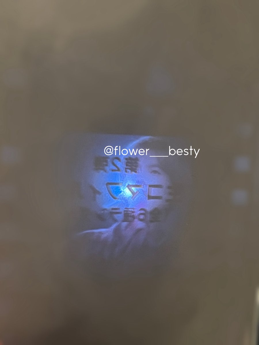 🐬 ɴᴏᴀ 🐬 tweet media