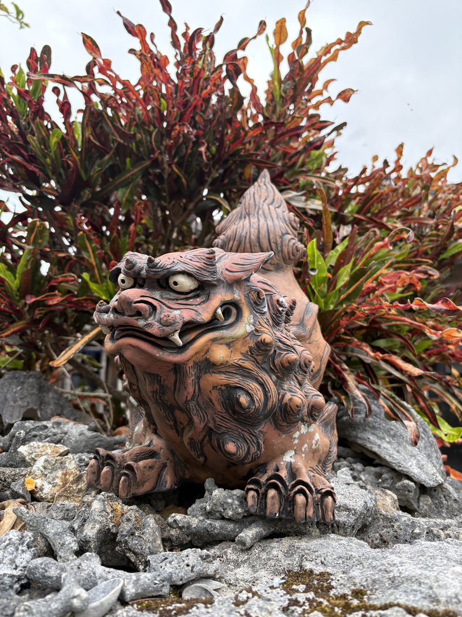 パーリピーポー的なシーサーや色々なシーサーたち #シーサー #竹富島