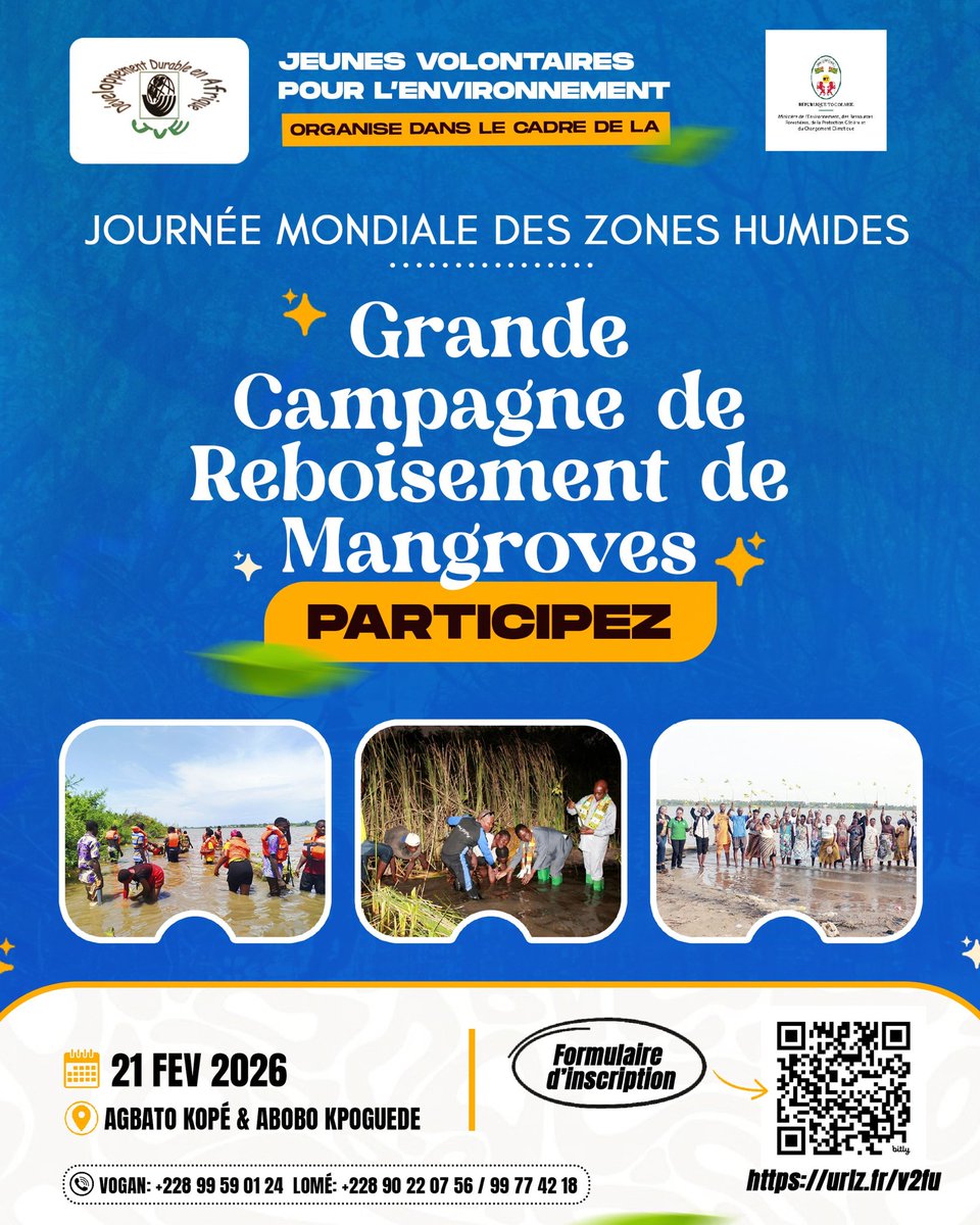 JVE International tweet media