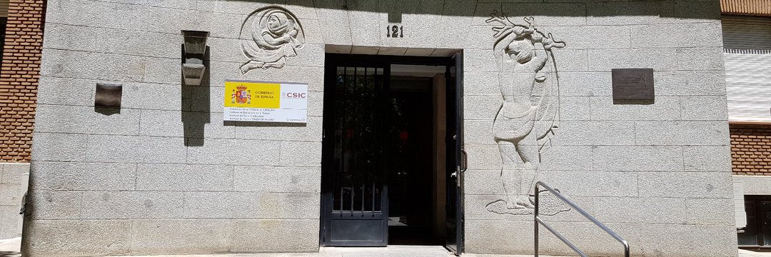 Maria Luisa Calvo tweet media