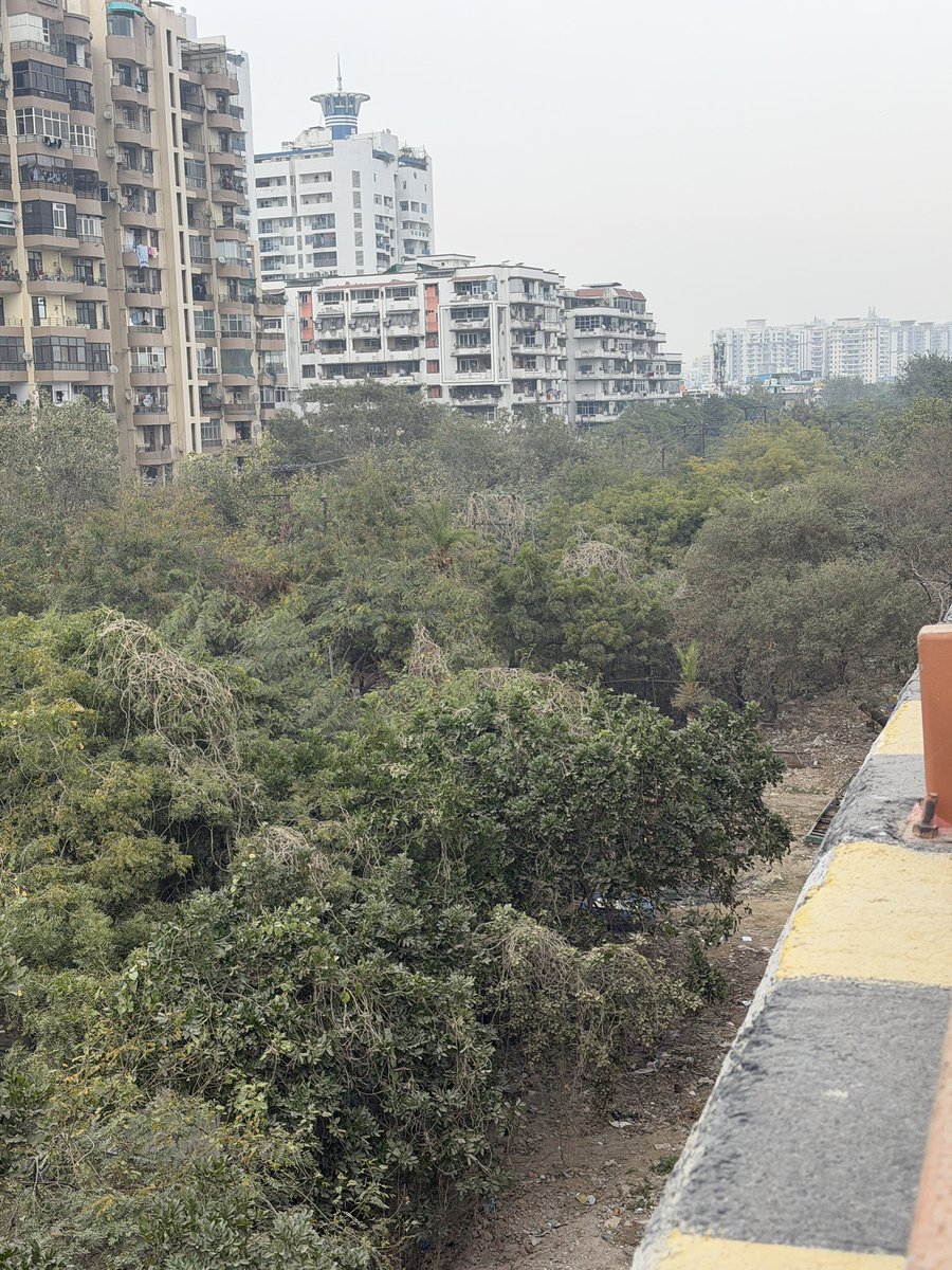 Swami Prem Parivartan tweet media