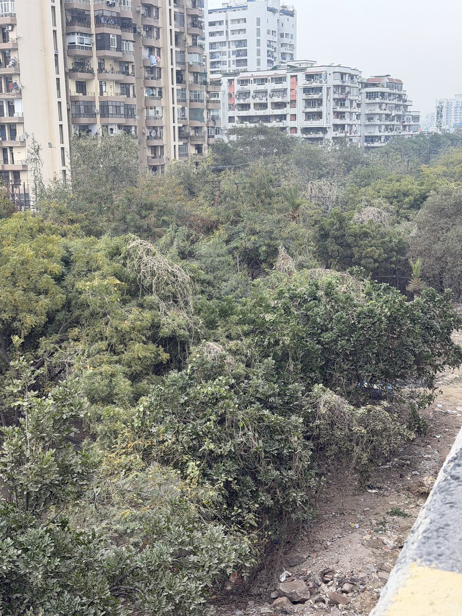 Swami Prem Parivartan tweet media