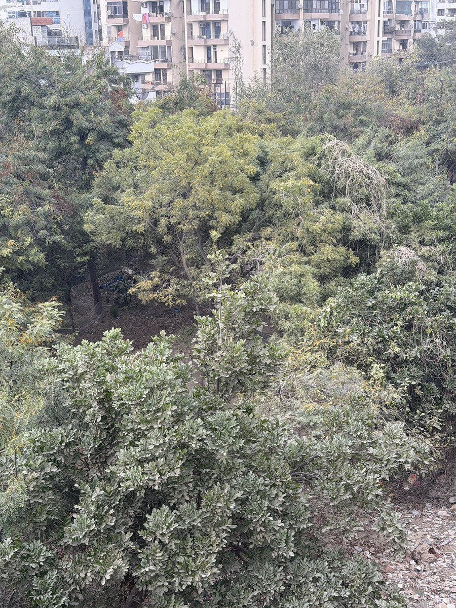 Swami Prem Parivartan tweet media