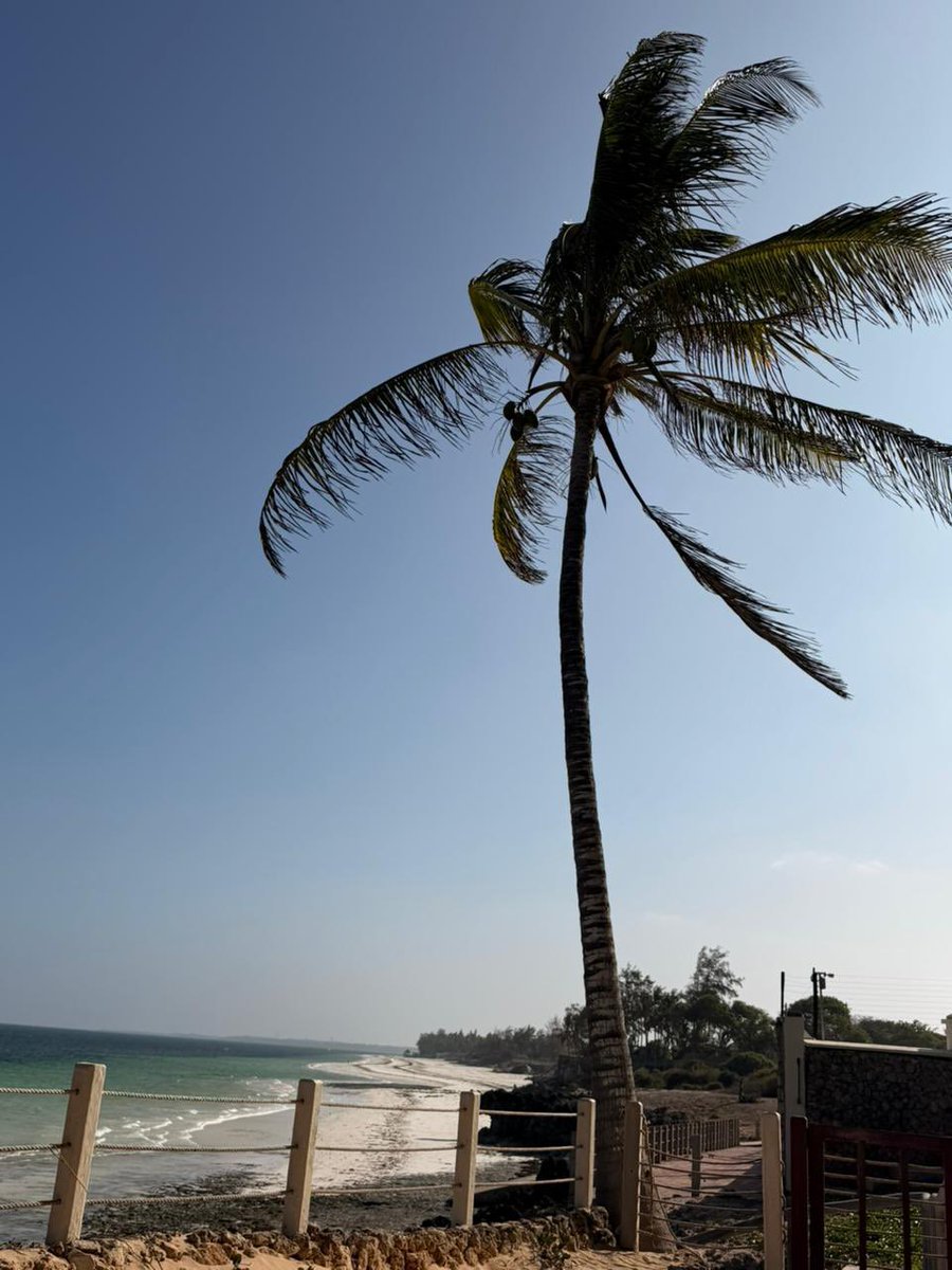 hanta199's tweet photo. Beach time 🌊👙🏝️ https://t.co/VZqiGCdQgY