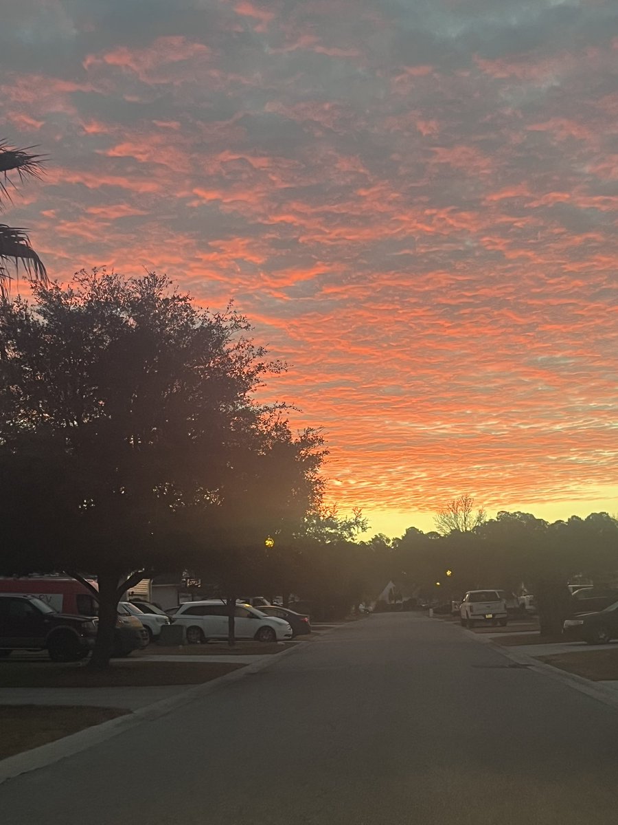 Post by Lisa 🍀 on X: 🌅