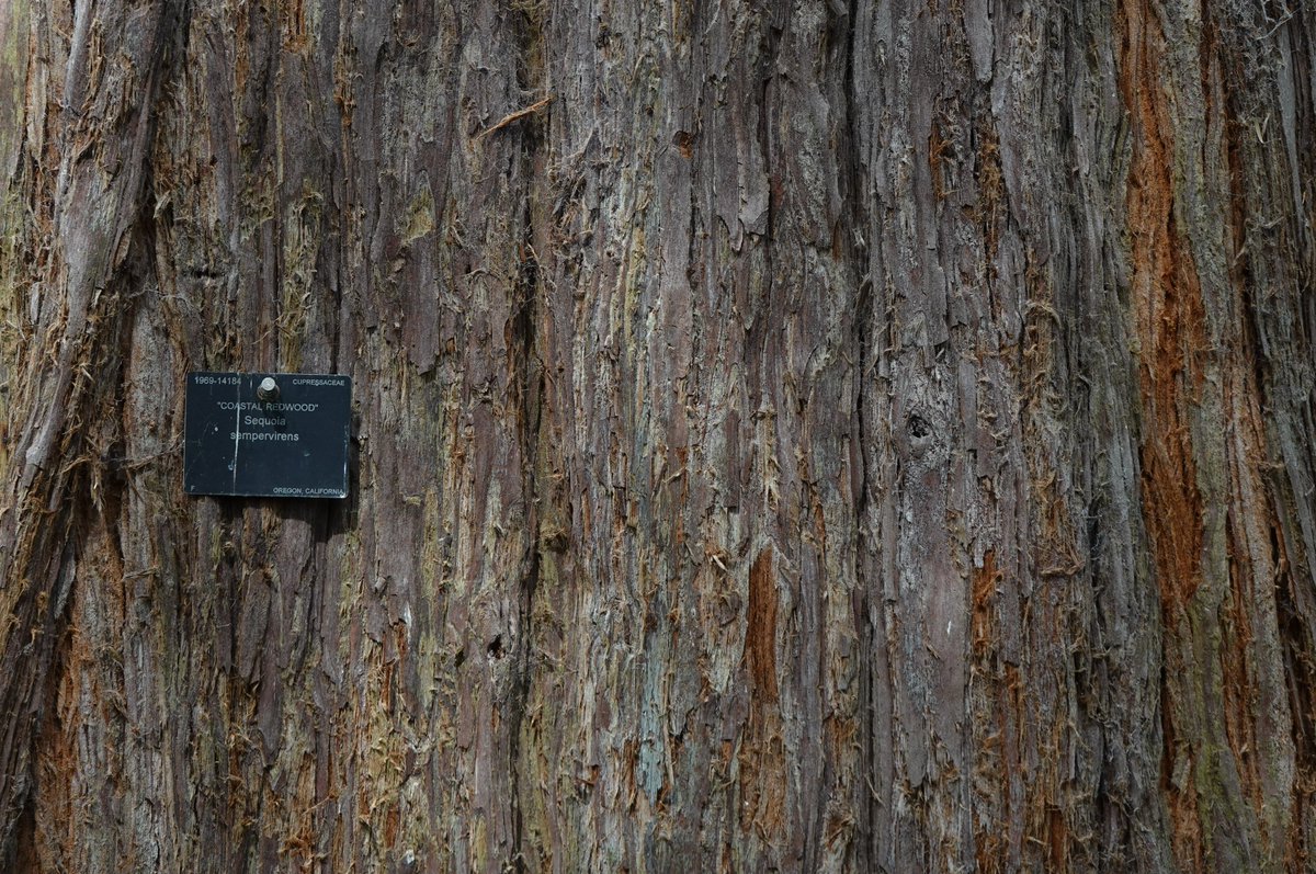 '[AI agents'] Experience will “become the dominant medium of improvement and ultimately dwarf the scale of human data used in today’s systems”, Silver and Sutton predicted.' ft.com/content/dffe72…