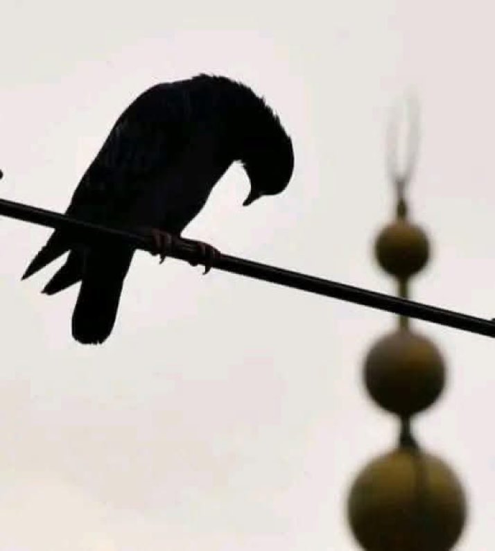 suheylagull4267's tweet image. “...Rabbim! Bana göndereceğin her hayra muhtacım.”

( Kasas Suresi| 24)