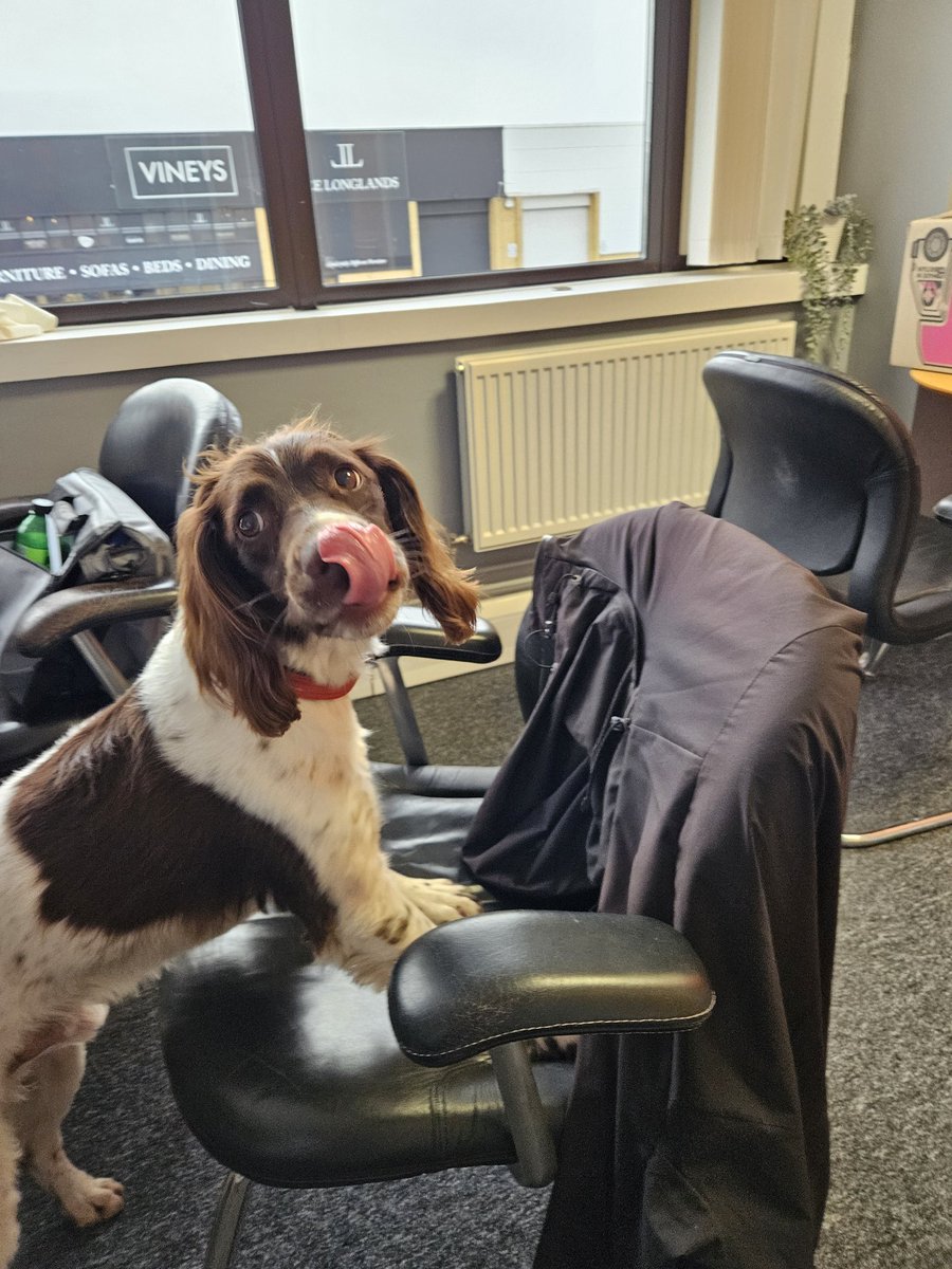 TSD Chhubohe and RSD Oppo (RIP) tweet media