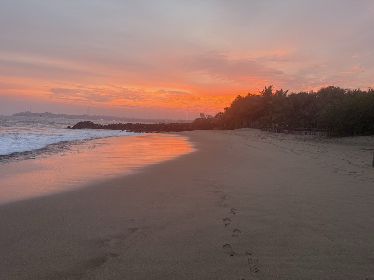 Craig Williams tweet media