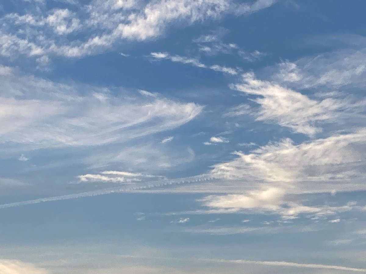 おはな【取引垢】 tweet media