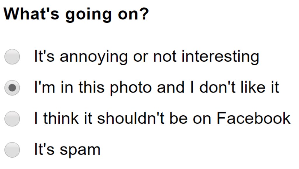 Caithrin Rintoul tweet media