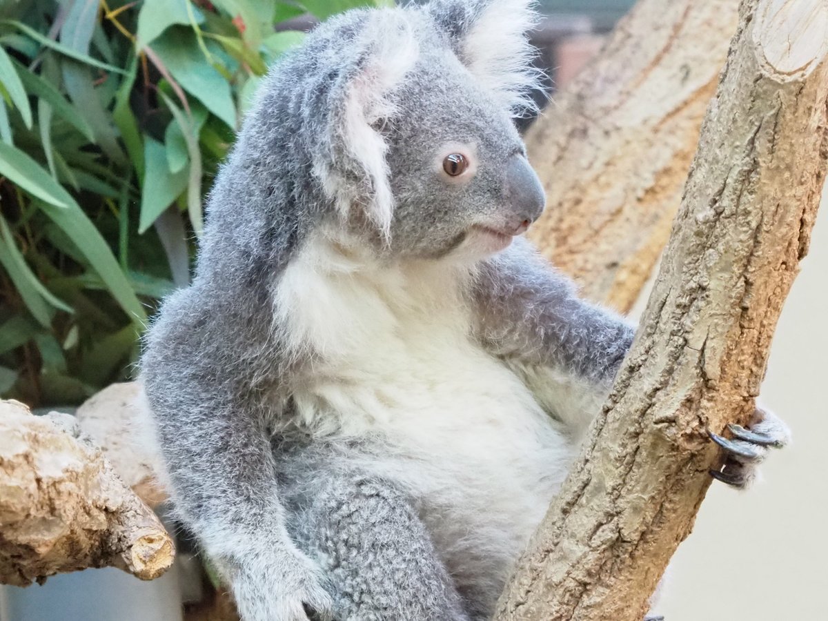 おはようございます いや～～ 昨日は、めちゃくちゃ忙しかったな #王子