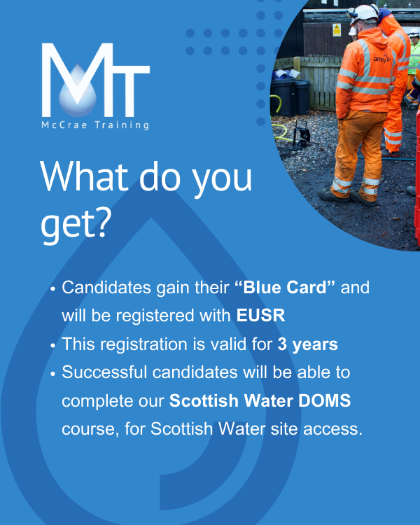 McCrae Training tweet media