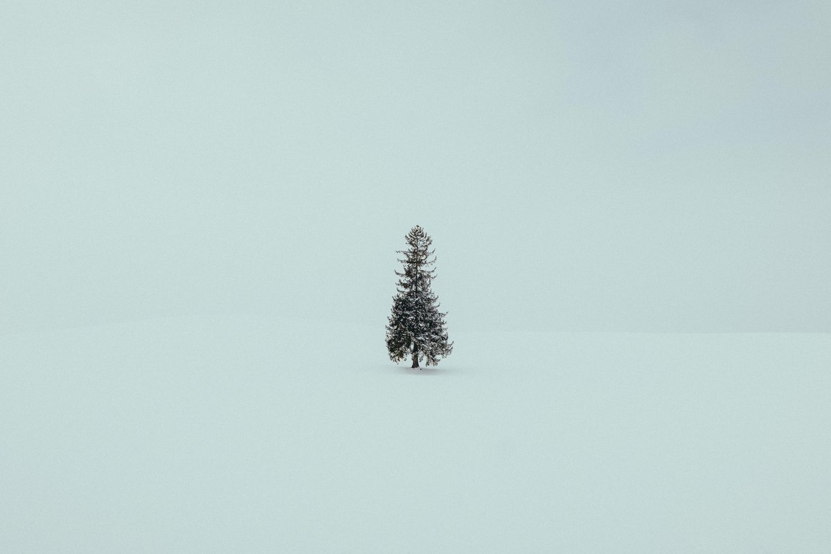 riki_shinagawa's tweet photo. Winter in Hokkaido https://t.co/X73RcRLanm
