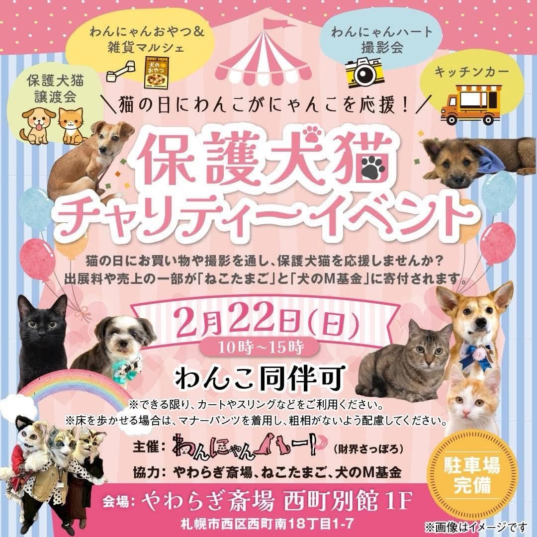 📣保護犬猫譲渡会＆チャリティー物販のお知らせ📣
2/22(日)わんにゃんハートさまのご厚意により
譲渡会＆チャリティー物販で参加☆

🍀日程はポスターをご覧ください

🍀詳しくはコチラ↓
instagram.com/p/DU0Le54Es6Y/…

※参加メンバーは後日発表！

#譲渡会 #保護犬 #里親 
#子犬 #子猫 #中型犬  #札幌