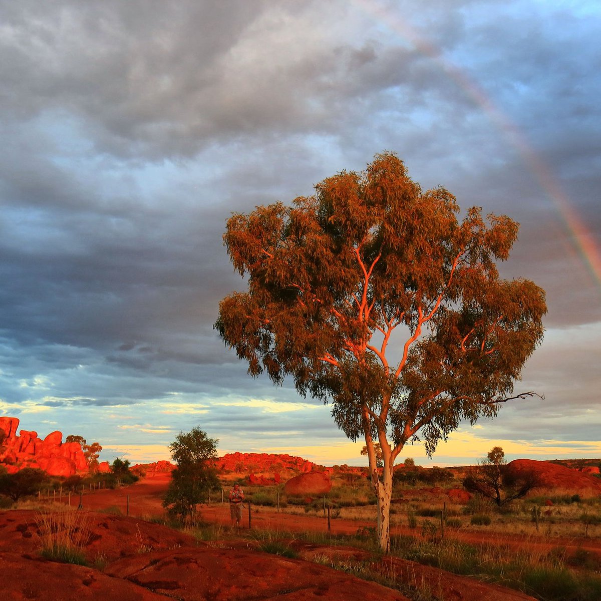 Teach us to care and not to care
Teach us to sit still
Even among these rocks,
Our peace in His will. 

TS Eliot
Ash Wednesday