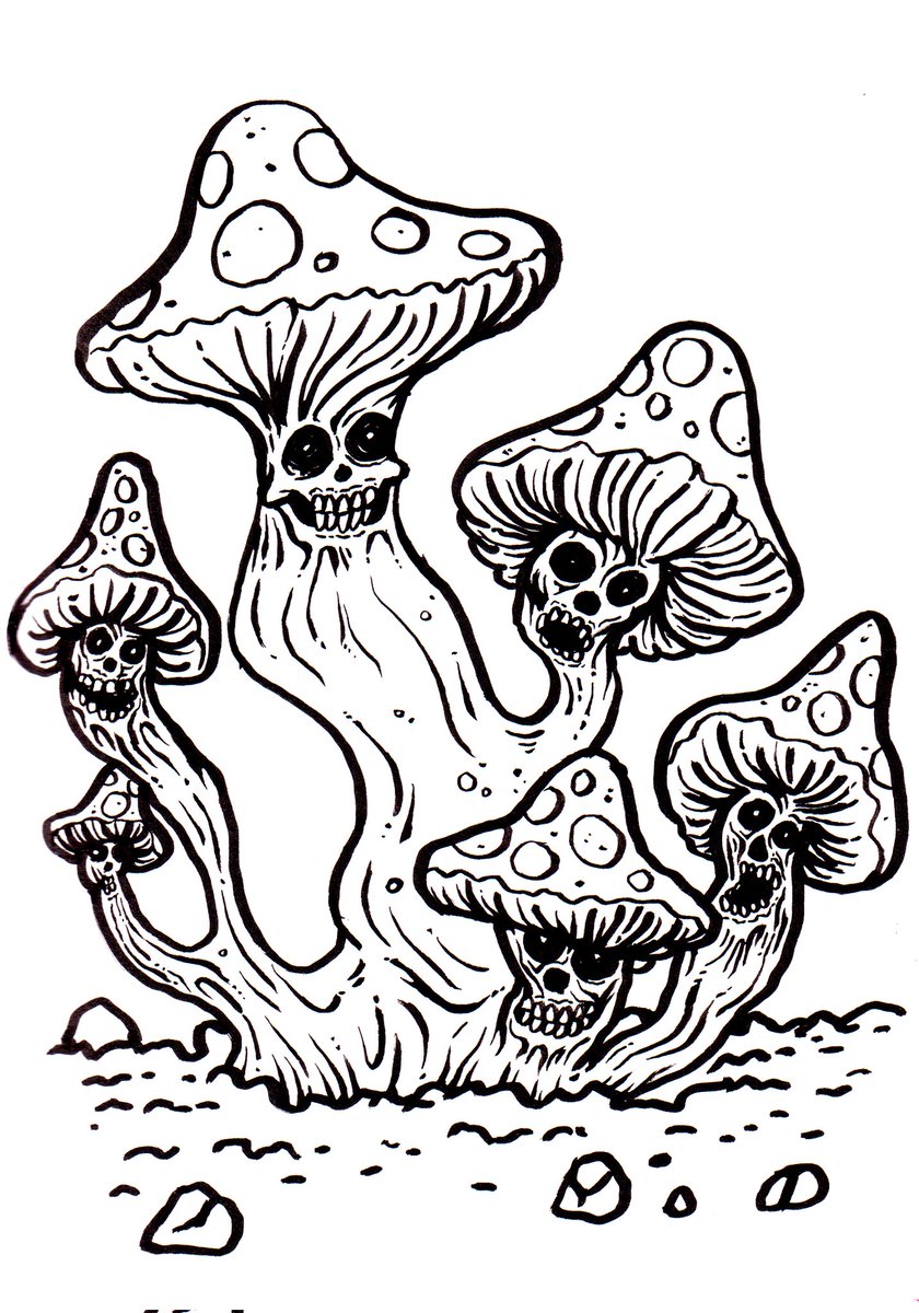 Some tasty shroomz