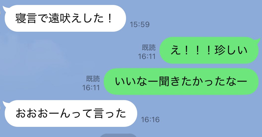 meikenmonaka0's tweet photo. 他にもあります
夫からの犬LINE https://t.co/Mb6dVmiShx