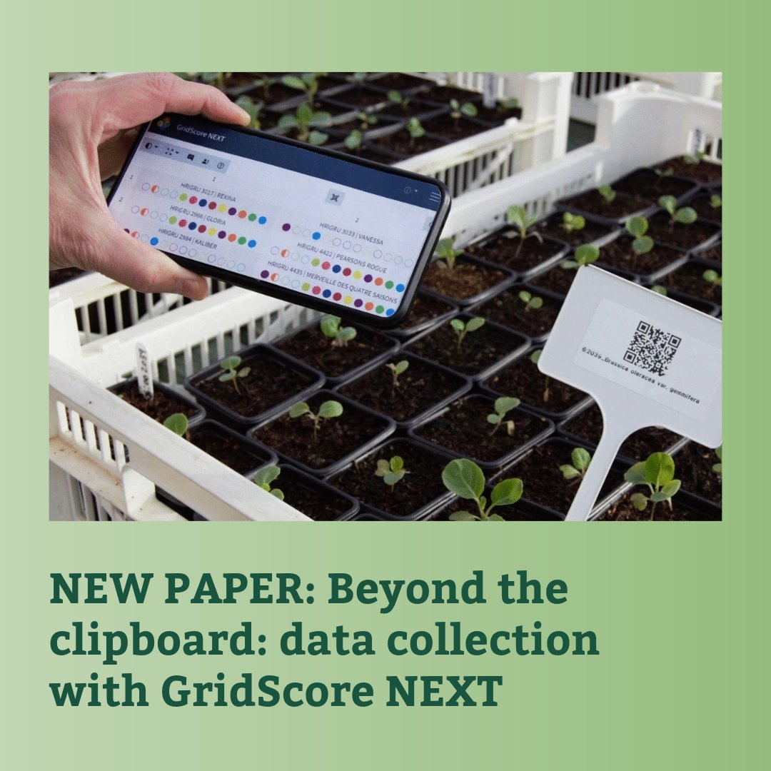 CropTrust's tweet photo. GridScore NEXT is a new open-source field app that helps plant scientists collect accurate phenotypic data, reduce errors, and speed up pre-breeding and characterization.  

Learn more in the new paper 📄 https://t.co/gyCQygjAsd

#BOLDProject https://t.co/Y4mCdzLLJW