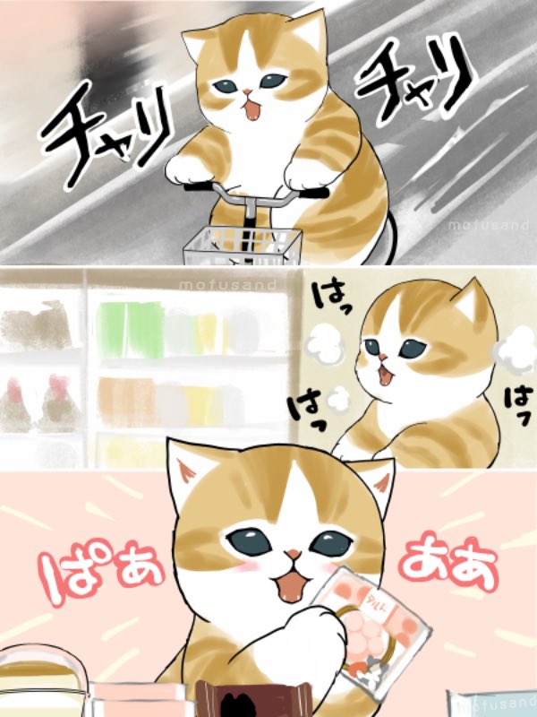 これ、まさにももの姿ꉂꉂ(˃ᗜ˂๑)笑