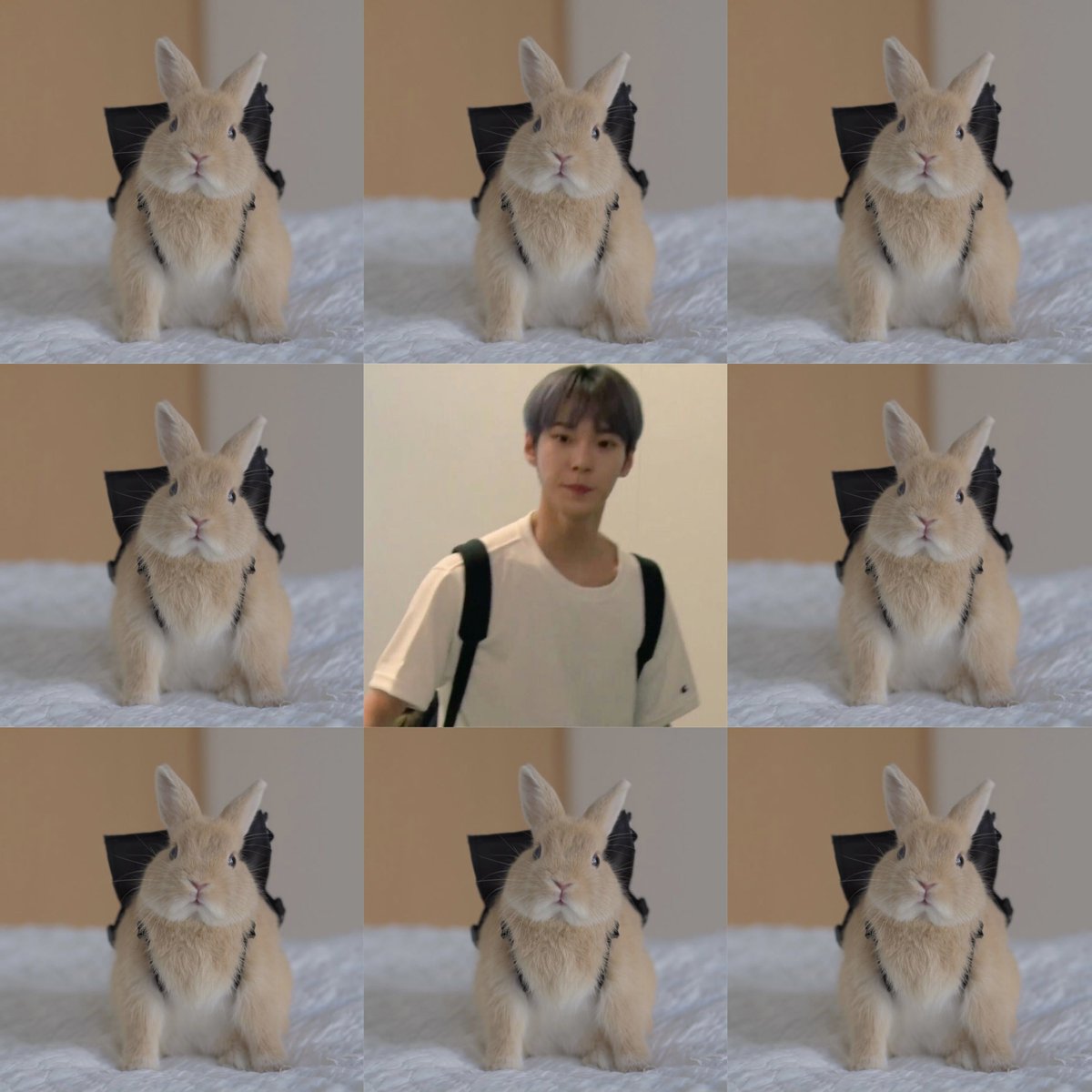 도영 D-474

🐰🎒

#도영 #DOYOUNG
