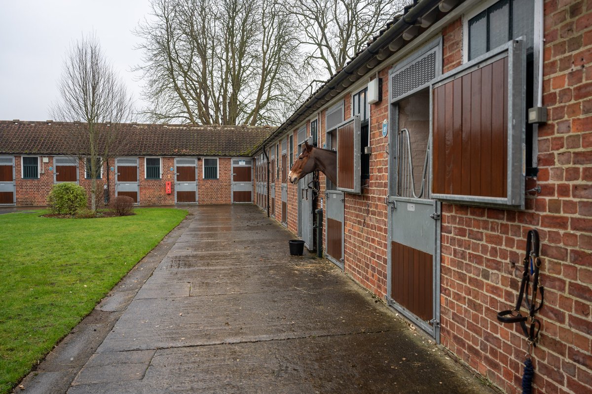 StablesideYork tweet media