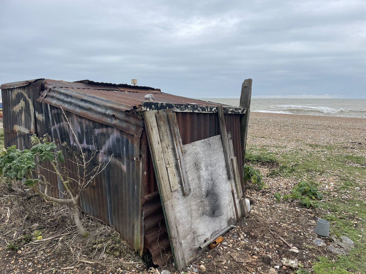 Bornatotter tweet media