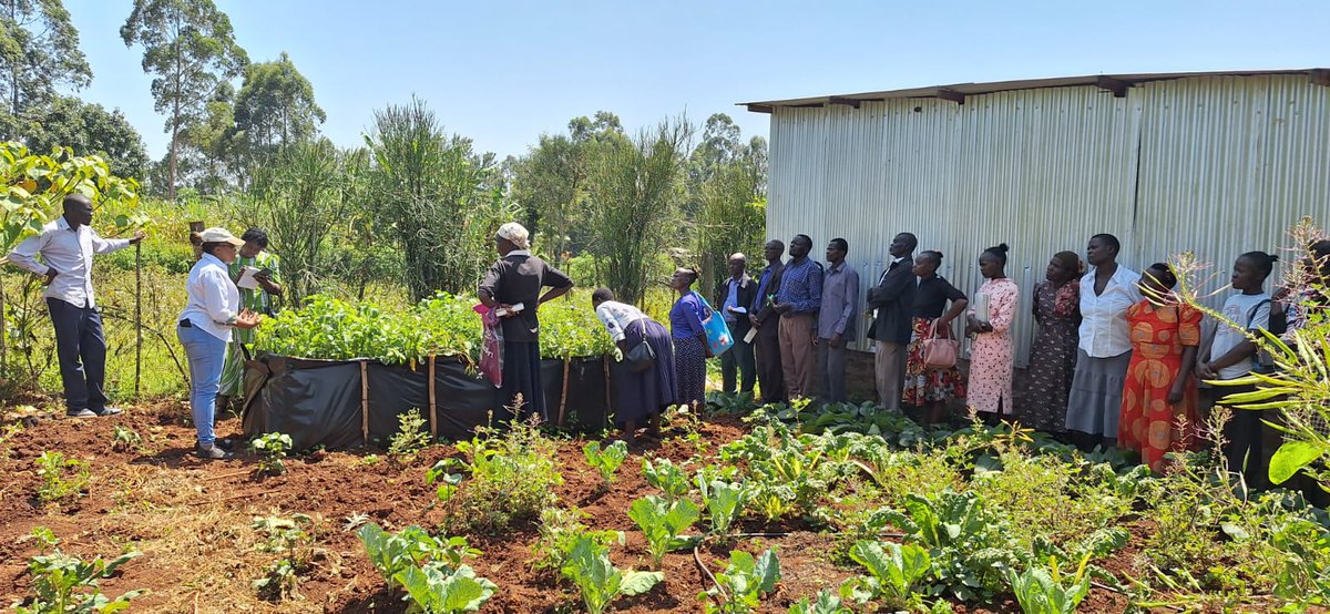 Taat_Africa's tweet image. Last month, the #TAATMaize Compact, led by @aatfafrica , held a series of #FieldDays in 6 counties in western Kenya, including awareness on #KitchenGarden creation! 🌽✨

Field days are vital for: 
✅ Access to Innovation ✅ Hands-on Experience 
✅ Networking ✅ Sustainability &amp;amp;