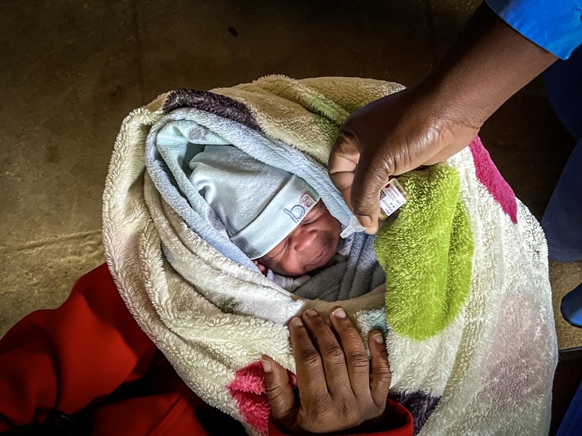WHOAFRO's tweet image. Around 1.3 million children in Malawi have been vaccinated against #polio in just four days following the detection of a new case in January 2026, the first since 2022.
Using the novel oral polio vaccine type 2 (nOPV2), 97% of targeted children were reached across eight districts