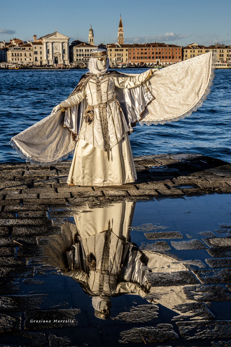 🌈 Graziano 🐺 tweet media